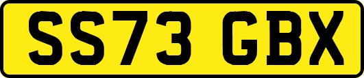 SS73GBX