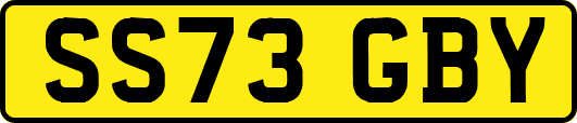 SS73GBY