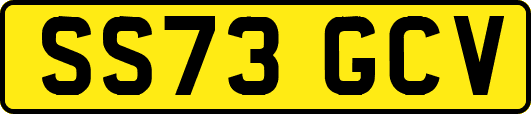 SS73GCV