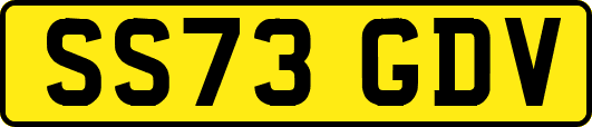 SS73GDV