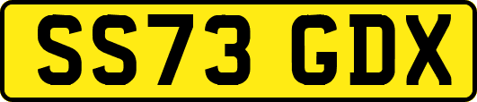 SS73GDX