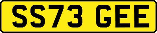 SS73GEE