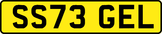 SS73GEL