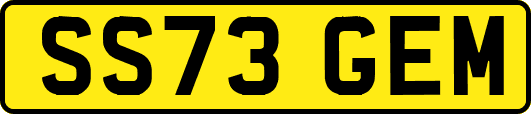 SS73GEM