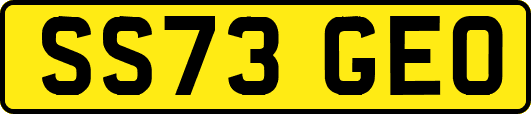 SS73GEO