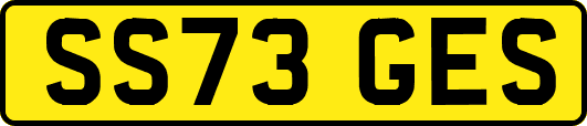 SS73GES