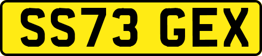 SS73GEX