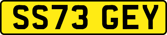 SS73GEY