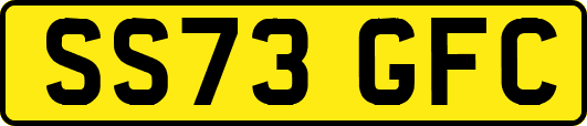SS73GFC
