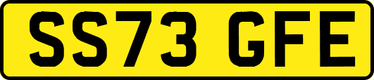 SS73GFE