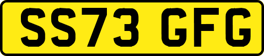 SS73GFG