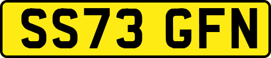 SS73GFN