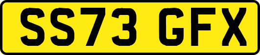 SS73GFX