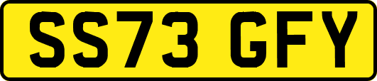 SS73GFY