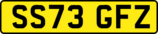 SS73GFZ