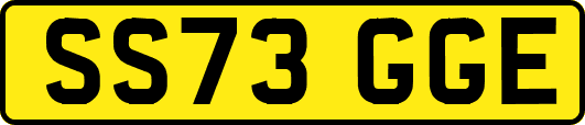 SS73GGE