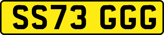 SS73GGG