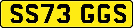 SS73GGS
