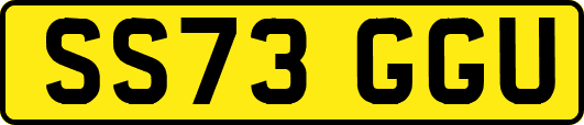 SS73GGU