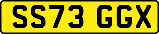 SS73GGX