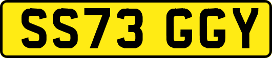 SS73GGY