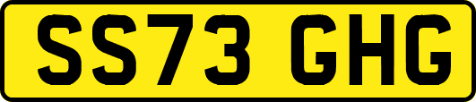 SS73GHG