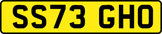SS73GHO