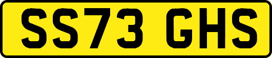 SS73GHS