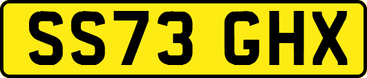 SS73GHX