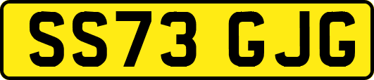 SS73GJG