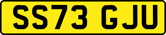 SS73GJU