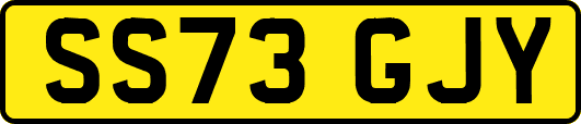 SS73GJY