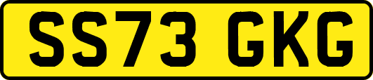 SS73GKG