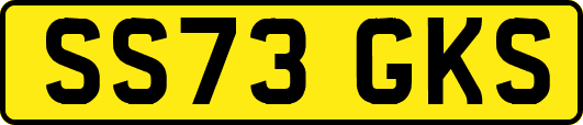 SS73GKS