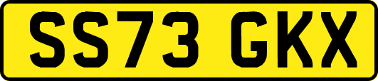 SS73GKX