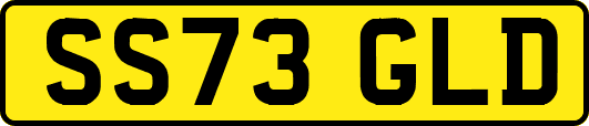 SS73GLD
