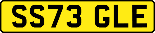 SS73GLE