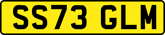 SS73GLM