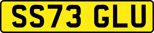 SS73GLU