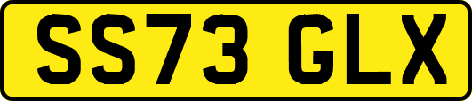 SS73GLX