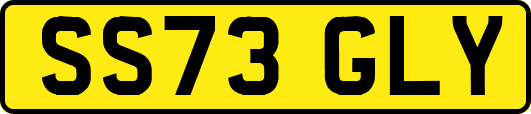 SS73GLY