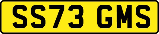 SS73GMS