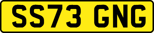 SS73GNG