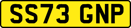 SS73GNP