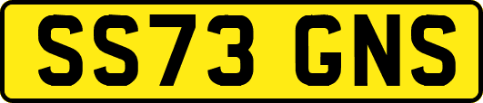 SS73GNS