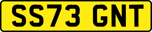 SS73GNT