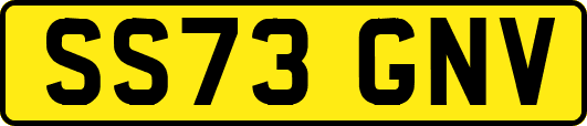 SS73GNV