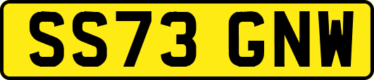 SS73GNW