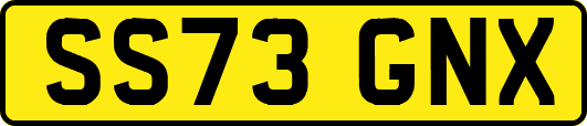 SS73GNX