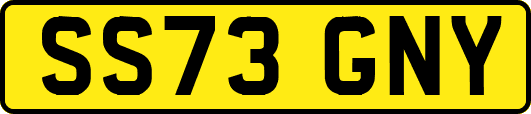 SS73GNY